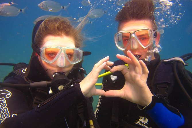 Side: Scuba Diving Under Water Museum - What the Underwater Museum adds to the trip